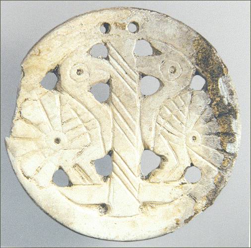 Marine-Shell-Gorgets